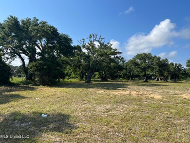 Live Oaks