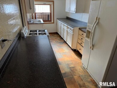 239 Elm St, East Peoria, IL 61611 - photo 6