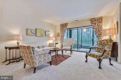 6350 Red Cedar Place unit 309, Baltimore, MD 21209 - photo 6