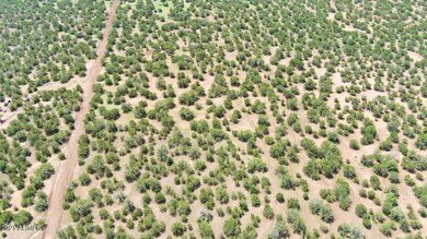 5) P.Jensen_1382 KB Ranch Rd
