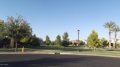 Big Grassy Area for afternoon in the sun
