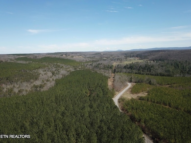 DJI_0347
