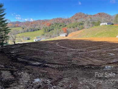 10 Chasing Dreams Dr unit 10, Burnsville, NC 28714 - photo 4