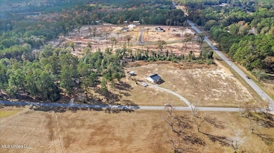 Nsn Brashier Ln, Lucedale, MS 39452 - photo 6