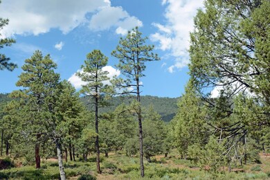 6903 W Brokaw Ln, Pine, AZ 85544 - photo 5