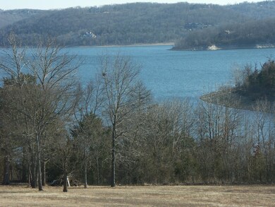 9 Sasparilla Ln, Kimberling City, MO 65686 - photo 4