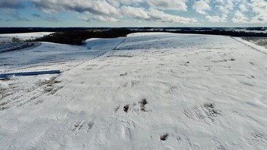 xxx County 12, Wiscoy Township, MN 55987 - photo 4