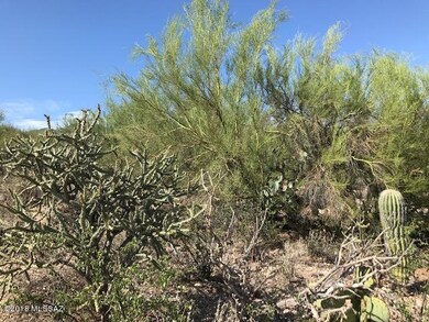 Heavily vegetated = PRIVACY!