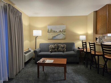 111 Center St unit 355, Lake Geneva, WI 53147 - photo 7