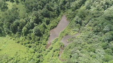 00 Ellisburg Rd, Genesee, PA 16923 - photo 4