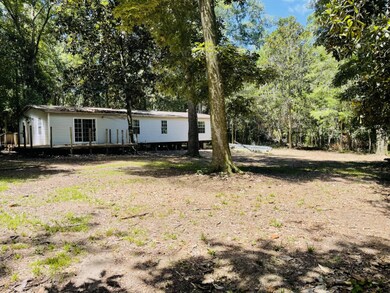 1169 Old Bumpy Rd, Capitola, FL 32317 - photo 6