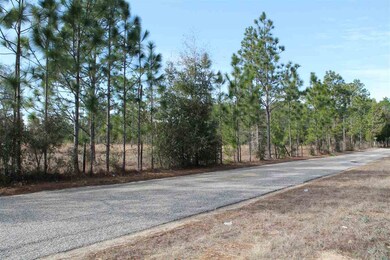 Long view on Nichols Creek Road