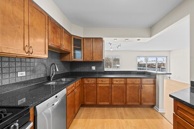 10385 Dearlove Rd unit 2C, Glenview, IL 60025 - photo 6