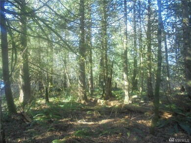 8000 Center Rd, Quilcene, WA 98376 - photo 6