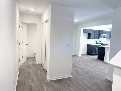 328 Monte Carlo Way, Elwood, IL 60421 - photo 4