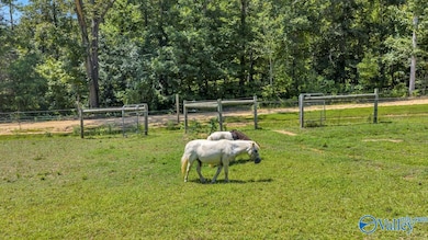 304 Carlton Rd, Scottsboro, AL 35769 - photo 6