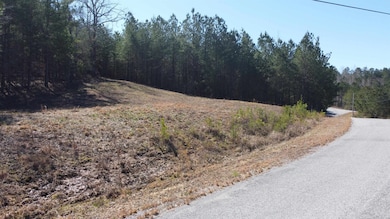 Lot 10 Highland Shr Subdivision, Jasper, AL 35503 - photo 2