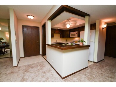 Unit entry and kitchen