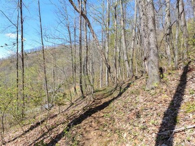 127 Stoney Falls Loop, Burnsville, NC 28714 - photo 5