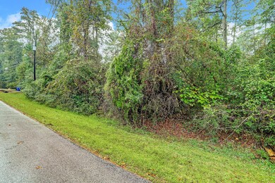 14 W Lake Forest Ct, Conroe, TX 77384 - photo 4