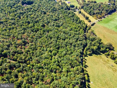 9623 Ada Rd, Marshall, VA 20115 - photo 3