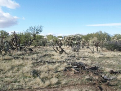 Lost Valley Loop 2