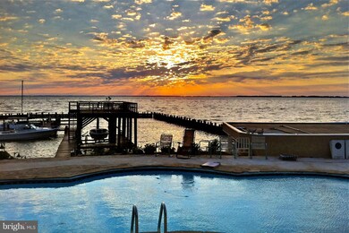 1303 Rogers Rd unit 8, Annapolis, MD 21409 - photo 7