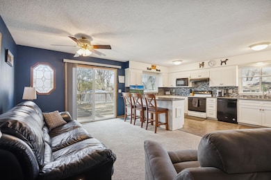 10648 Wren St NW, Coon Rapids, MN 55433 - photo 4