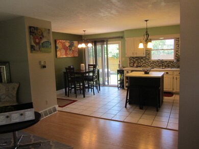 1044 Riverside Dr, Lowell, MI 49331 - photo 4