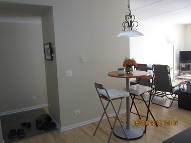 111 N Larch Ave unit 207, Elmhurst, IL 60126 - photo 7