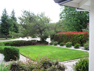 front yard