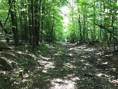 0 Orchard Rd, Acton, ME 04001 - photo 2