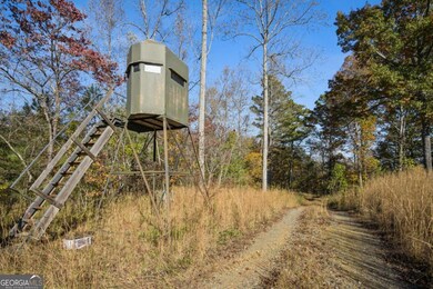1251 Bar T Ranch Rd, Talking Rock, GA 30175 - photo 4