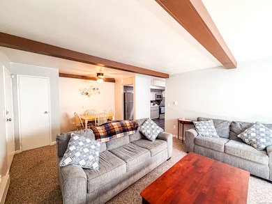 113 Horse Pond Rd unit B, Salem, CT 06420 - photo 3