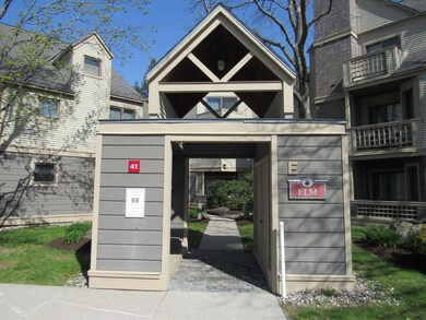 41 High Point Dr unit E-32, Stratton, VT 05360 - photo 2