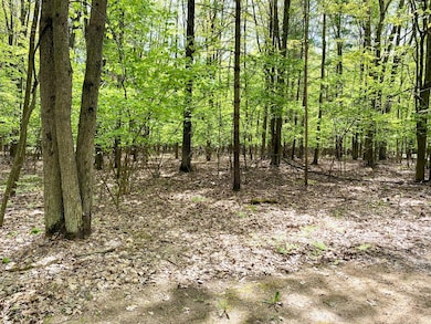 Lots 1-8 Adams Roosevelt, Roscommon, MI 48653 - photo 4