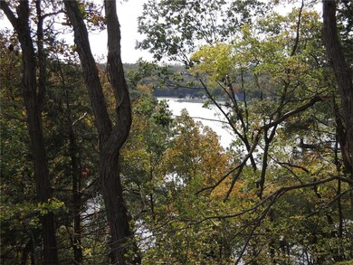 TIMBER, LAKE DELHI VIEW