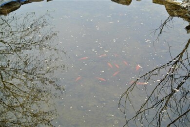 800 County Road 343, Harviell, MO 63945 - photo 4