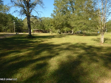 1055 Summer Oak Ln, Summit, MS 39666 - photo 3