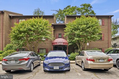7332 Tavenner Ln unit 3B, Alexandria, VA 22306 - photo 3
