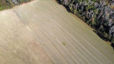 20.85 Acres Highway 917, Nichols, SC 29581 - photo 5