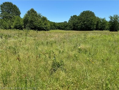 TBD CR 4460 Rd, Albion, OK 74521 - photo 7