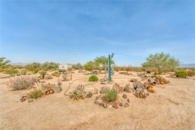 833 Copper Mountain Rd, Joshua Tree, CA 92252 - photo 3