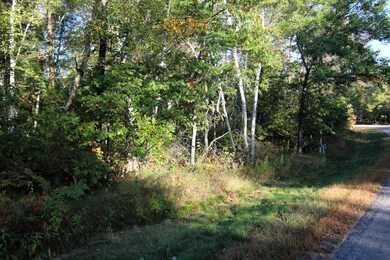 L4 B20 WB16 Summer Dr, Breezy Point, MN 56472 - photo 6