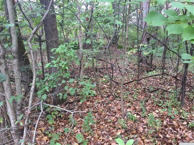 68 - C Randy Rd, Sleepy Hollow Lake, NY 12015 - photo 2