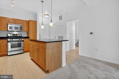 12945 Centre Park Cir unit 403, Herndon, VA 20171 - photo 6