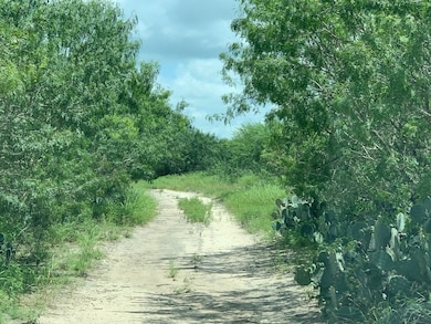 Sendero Creek Ranch Tract 6, San Diego, TX 78332 - photo 2