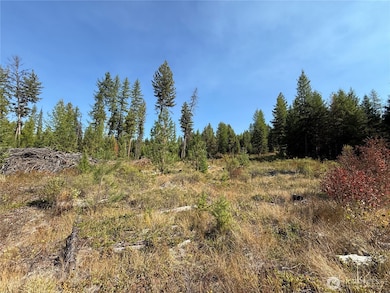 0 St Peter's Creek Rd unit NWM2456624, Malo, WA 99150 - photo 6