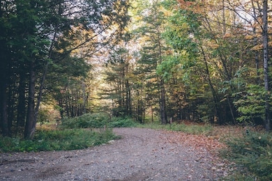 607 Fox Hill Rd, Bernardston, MA 01337 - photo 4