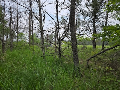 10 Acres 25th St, Necedah, WI 54646 - photo 4